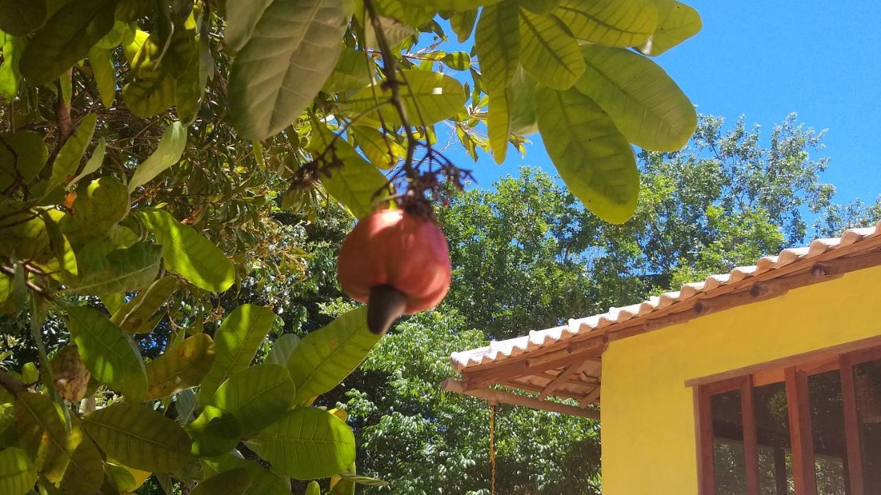 הוילה Casa Som Do Mar - טרנקוסו מראה חיצוני תמונה
